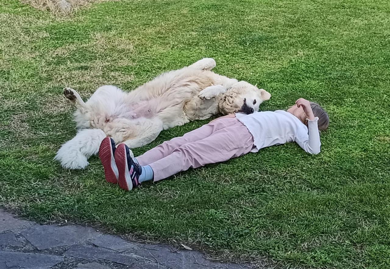 Willa Agriturismo La Talpa Marsiliana Zewnętrze zdjęcie