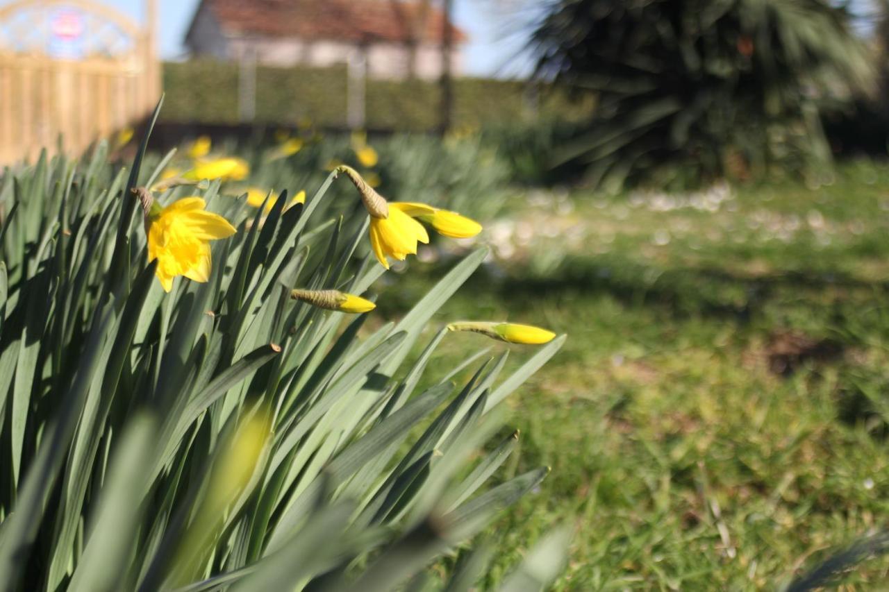 Willa Agriturismo La Talpa Marsiliana Zewnętrze zdjęcie