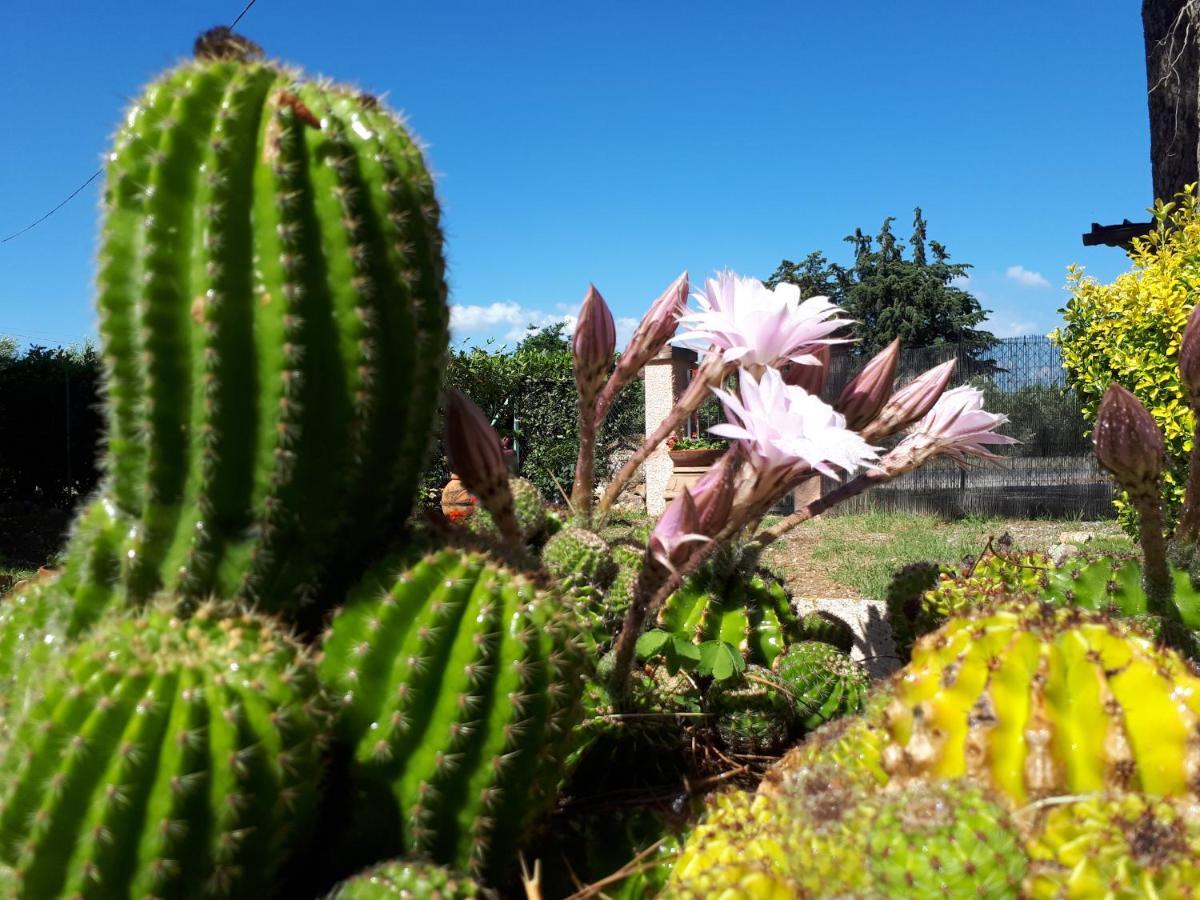 Willa Agriturismo La Talpa Marsiliana Zewnętrze zdjęcie